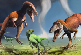 Predatory dinosaur had tiny arms like Tyrannosaurus rex